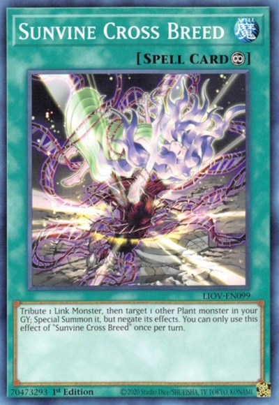 Sunvine Cross Breed (LIOV-EN099) [Lightning Overdrive]