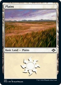 Plains (482) (Foil Etched) (482) [Modern Horizons 2]