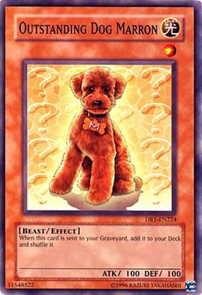 Outstanding Dog Marron (DR1-EN224) [Dark Revelation Volume 1]
