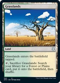 Grasslands (242) [Commander: Adventures in the Forgotten Realms]