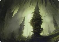 Forest (55/81) Art Card (55) [Art Series: Adventures in the Forgotten Realms]