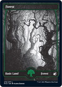 Forest (276) (276) [Innistrad: Midnight Hunt]