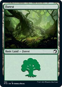 Forest (384) (384) [Innistrad: Midnight Hunt]