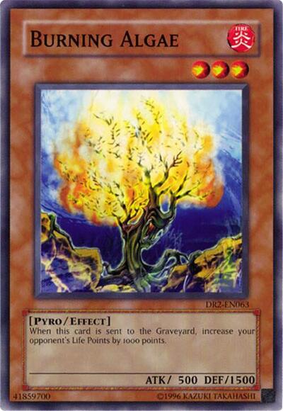 Burning Algae (DR2-EN063) [Dark Revelation Volume 2]