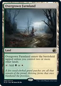 Overgrown Farmland (265) [Innistrad: Midnight Hunt]