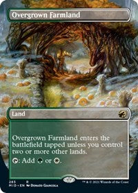 Overgrown Farmland (Borderless) (283) [Innistrad: Midnight Hunt]