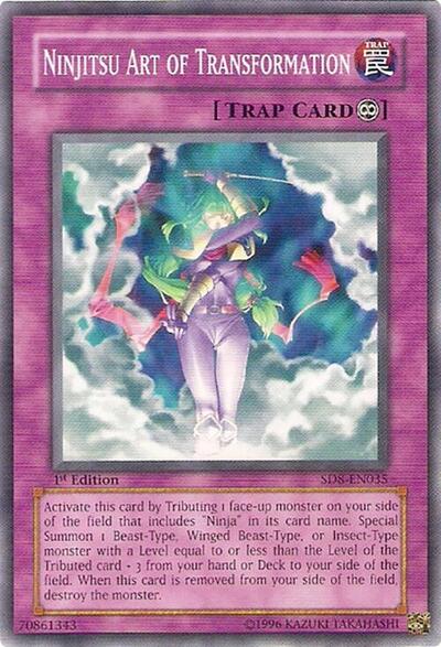 Ninjitsu Art of Transformation (SD8-EN035) [Structure Deck: Lord of the Storm]