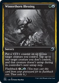 Winterthorn Blessing (251) [Innistrad: Double Feature]