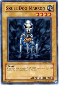 Skull Dog Marron (DR3-EN003) [Dark Revelation Volume 3]