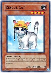 Rescue Cat (DR3-EN153) [Dark Revelation Volume 3]