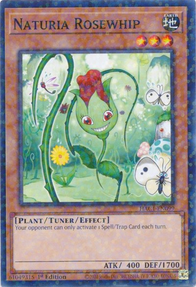Naturia Rosewhip (Duel Terminal) (HAC1-EN099) [Hidden Arsenal: Chapter 1]