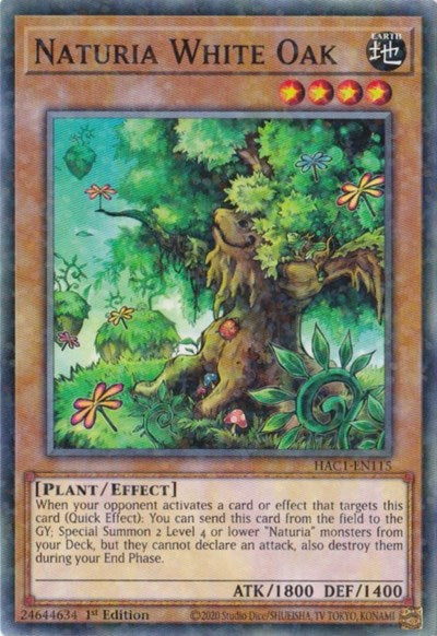 Naturia White Oak (Duel Terminal) (HAC1-EN115) [Hidden Arsenal: Chapter 1]