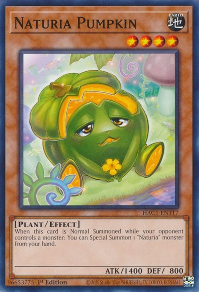Naturia Pumpkin (HAC1-EN117) [Hidden Arsenal: Chapter 1]