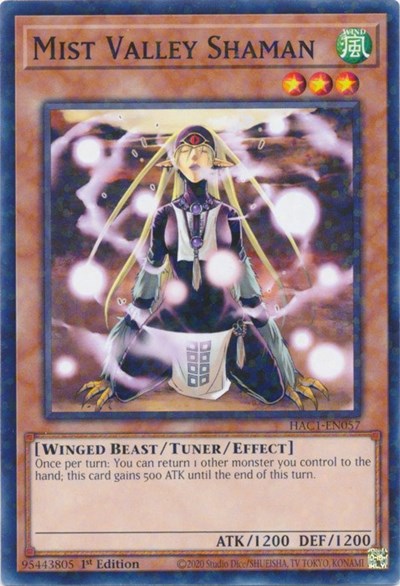 Mist Valley Shaman (Duel Terminal) (HAC1-EN057) [Hidden Arsenal: Chapter 1]
