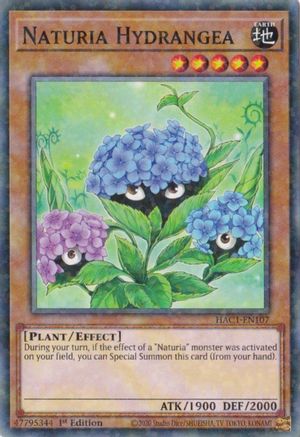 Naturia Hydrangea (Duel Terminal) (HAC1-EN107) - Hidden Arsenal: Chapter 1 1st Edition