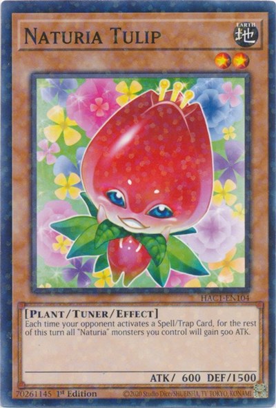 Naturia Tulip (Duel Terminal) (HAC1-EN104) [Hidden Arsenal: Chapter 1]