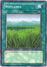 Wetlands (LODT-EN054) [Light of Destruction]