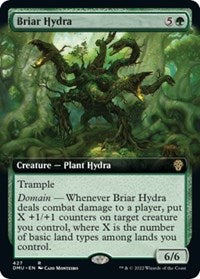 Briar Hydra (Extended Art) (427) [Dominaria United]