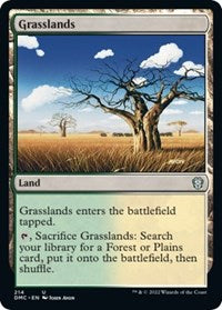 Grasslands (214) [Commander: Dominaria United]