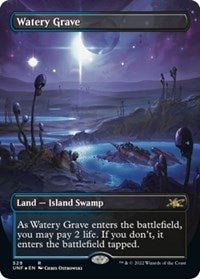 Watery Grave (Borderless) (Galaxy Foil) (529) [Unfinity]