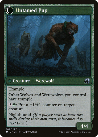 Hound Tamer (MID-187) - Innistrad: Midnight Hunt: (Double Faced Transform) Foil
