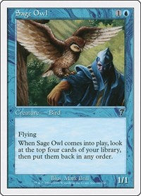 Sage Owl (96) [7th Edition]
