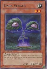 Dark Verger (RGBT-EN004) [Raging Battle]