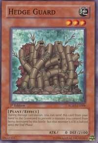 Hedge Guard (RGBT-EN008) [Raging Battle]