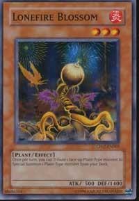 Lonefire Blossom (CP07-EN005) [Champion Pack 7]