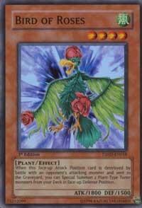 Bird of Roses (TSHD-EN018) [The Shining Darkness]