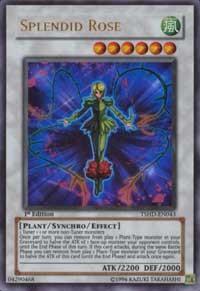 Splendid Rose (TSHD-EN043) [The Shining Darkness]