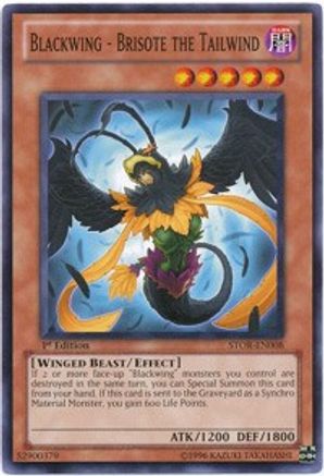 Blackwing - Brisote the Tailwind (STOR-EN008) - Storm of Ragnarok 1st Edition