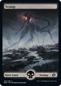 Swamp (282) - Full Art (282) [The Brothers' War]