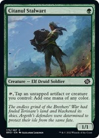 Citanul Stalwart (175) [The Brothers' War]