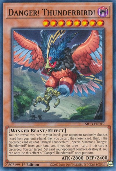 Danger! Thunderbird! (SR13-EN019) [Structure Deck: Dark World]