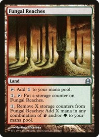 Fungal Reaches (274) [Commander]