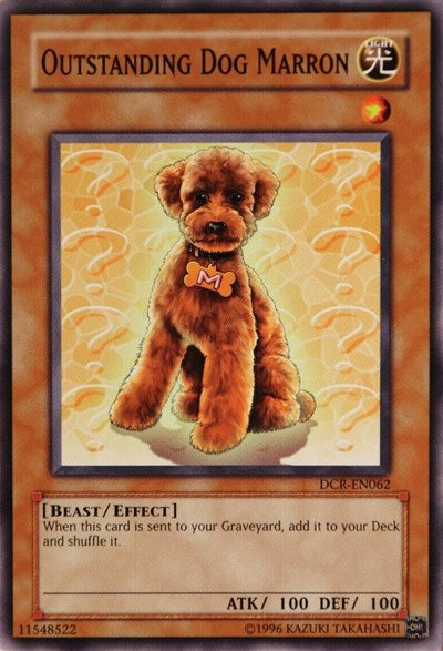 Outstanding Dog Marron (DCR-EN062) [Dark Crisis (Worldwide English)]
