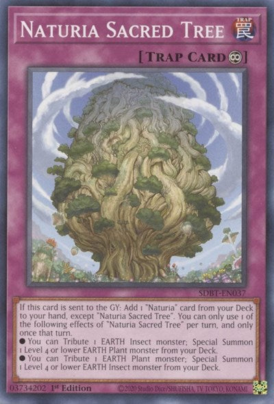 Naturia Sacred Tree (SDBT-EN037) [Structure Deck: Beware of Traptrix]