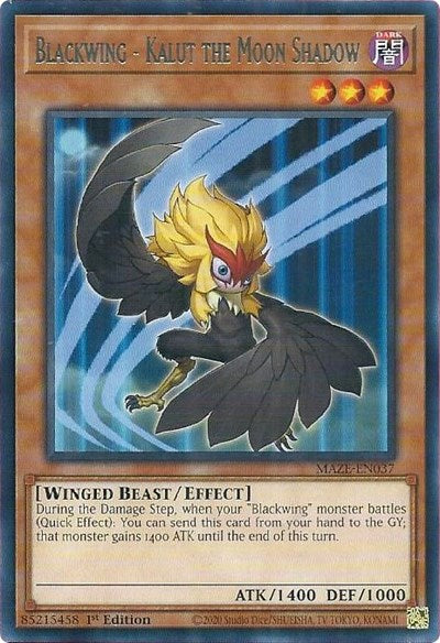 Blackwing - Kalut the Moon Shadow (MAZE-EN037) [Maze of Memories]