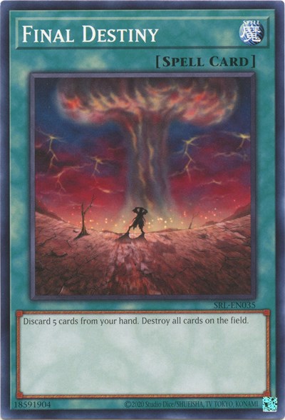 Final Destiny (SRL-EN035) [Spell Ruler (25th Anniversary Edition)]