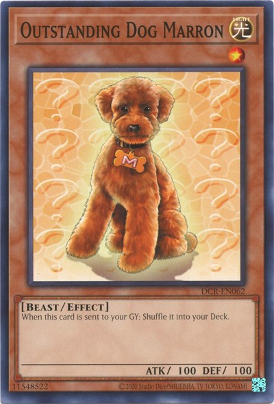 Outstanding Dog Marron (DCR-EN062) [Dark Crisis (25th Anniversary Edition)]