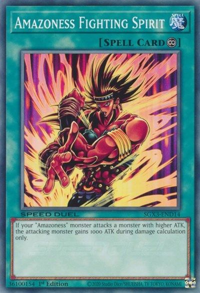 Amazoness Fighting Spirit (SGX3-END14) [Speed Duel GX: Duelists of Shadows]