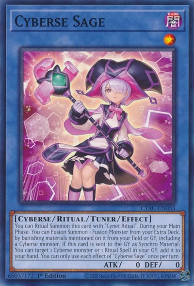 Cyberse Sage (CYAC-EN033) [Cyberstorm Access]