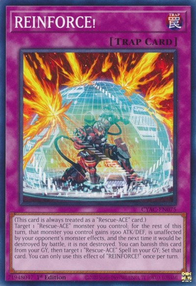 REINFORCE! (CYAC-EN075) [Cyberstorm Access]