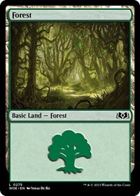 Forest (0275) (275) [Wilds of Eldraine]