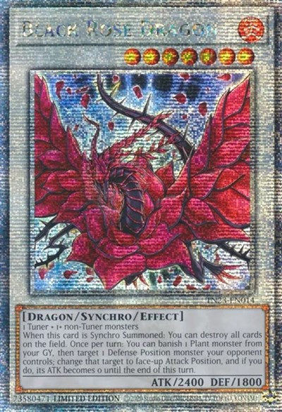 Black Rose Dragon (Quarter Century Secret Rare) (TN23-EN014) [25th Anniversary Tin: Dueling Heroes]