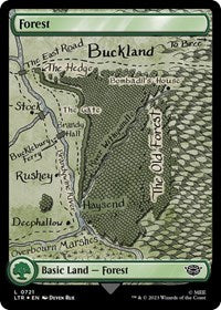 Forest (0721) (Surge Foil) (721) [Universes Beyond: The Lord of the Rings: Tales of Middle-earth]