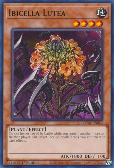 Ibicella Lutea (VASM-EN052) [Valiant Smashers]
