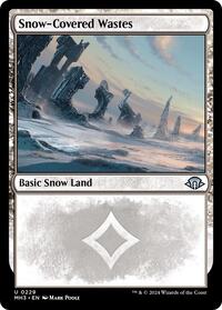 Snow-Covered Wastes (0229) (229) [Modern Horizons 3]