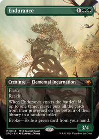 Endurance (Borderless) (48) [Special Guests]